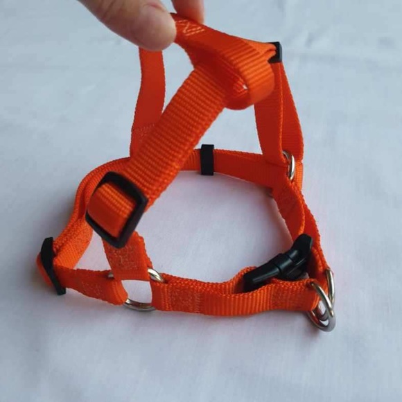 Set of 2 Adjustable Step In Nylon Small Dog Breed Harness with Buckle Closure - Picture 14 of 16
